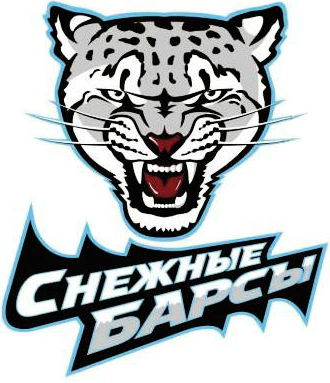 Snezhnye Barsy 2011-Pres Primary Logo iron on heat transfer